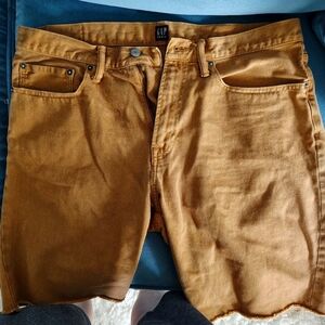 GAP Tan Flat Front Men Shorts